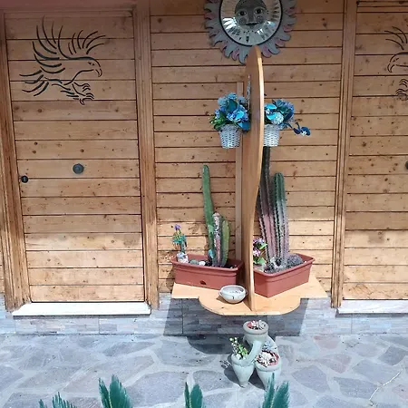 Aquila Di Mare * Fiumicino