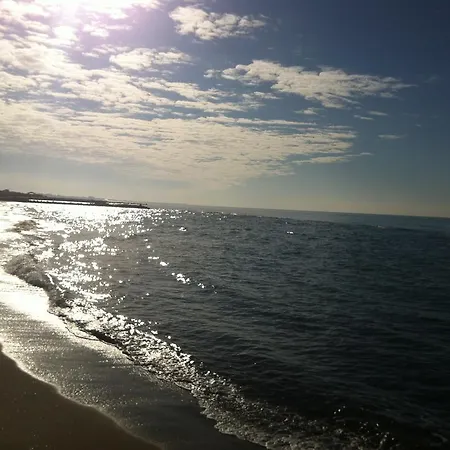 Aquila Di Mare *